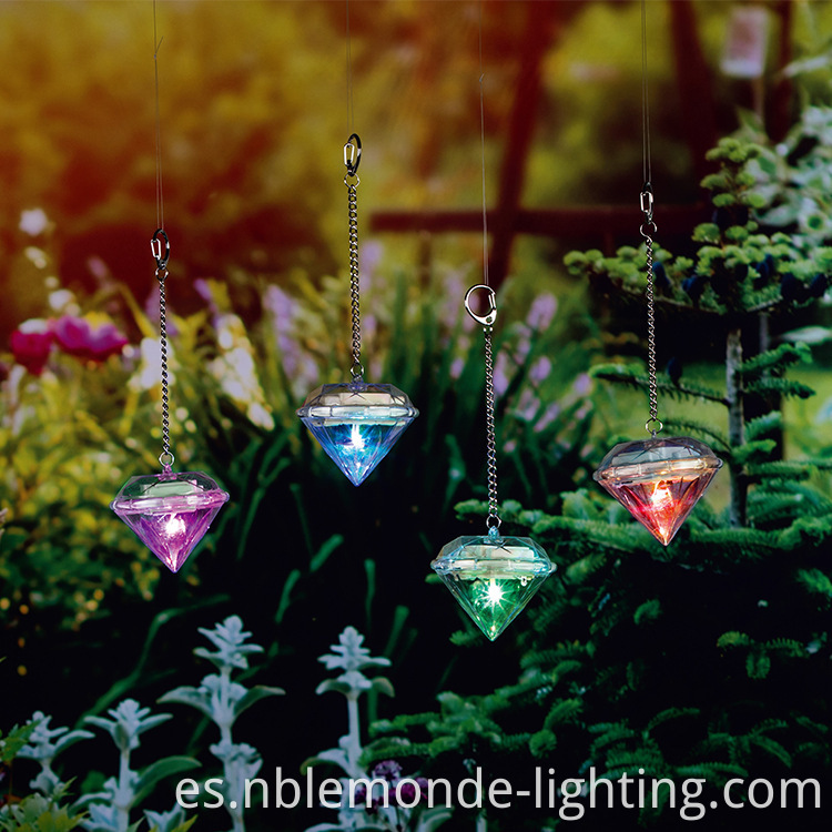 Outdoor Solar-Powered LED Decorations